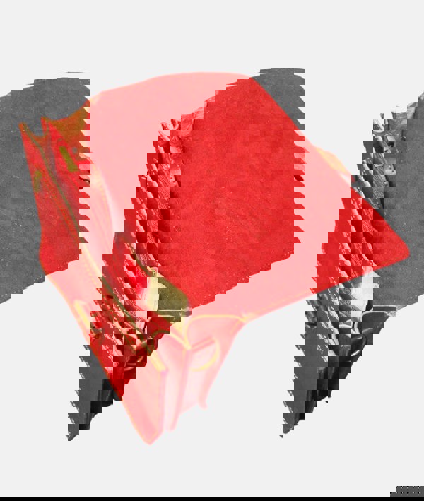 Berber Leather The Casablanca Mini Satchel in Red