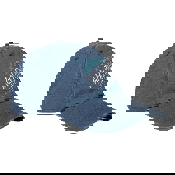 Animal St Ives Established Baseball Cap - Navy