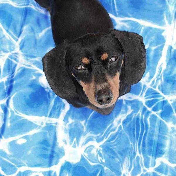 All For Paws Chill Out Always Cool Dog Mat – Medium