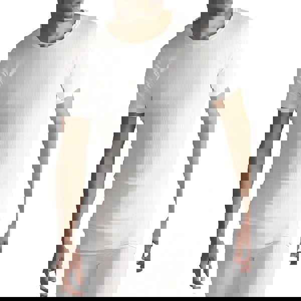 t4option1_1