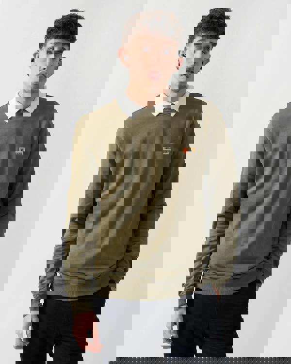 studio shot of a model wearing Fjallraven Vardag Mens Sweater in Green 620