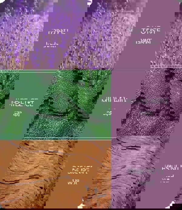 Heart & Home Lavender & Sage - Essential Oil Blend