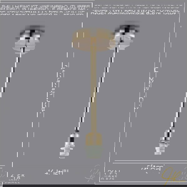 Classic Antique Brass Ceiling Light Fixture to Showcase Lamp Shades Image 6