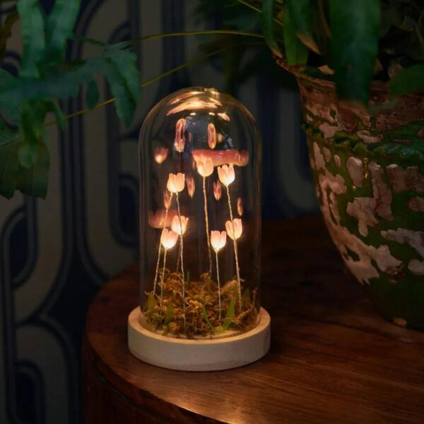 Abode Home & Gifts The Botanical Wonderland Cloche