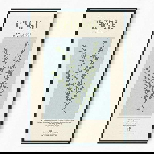 Reign&Hail Thyme - Herb Print