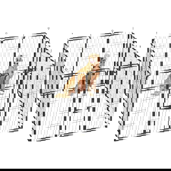 D06-248V02BK