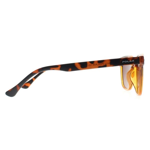 Polar Sunglasses 362 COL.431 Shiny Crystal Honey Havana Brown Polarized