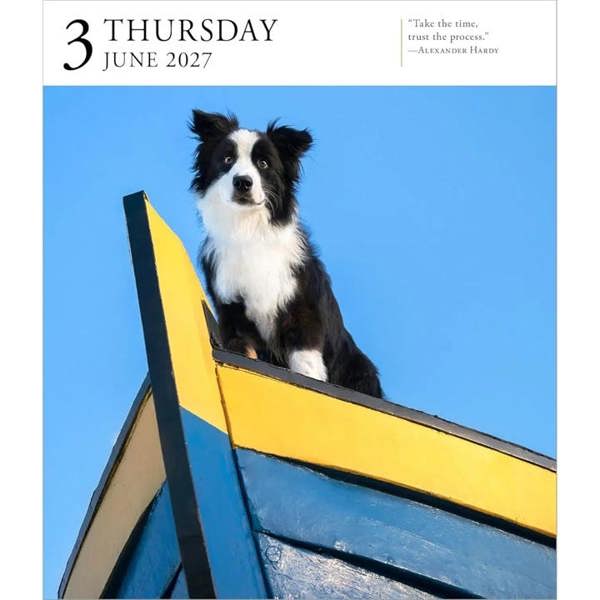Dog Gallery Refill Pack 2027, Desk Calendars, Day To View, Dogs, Gift