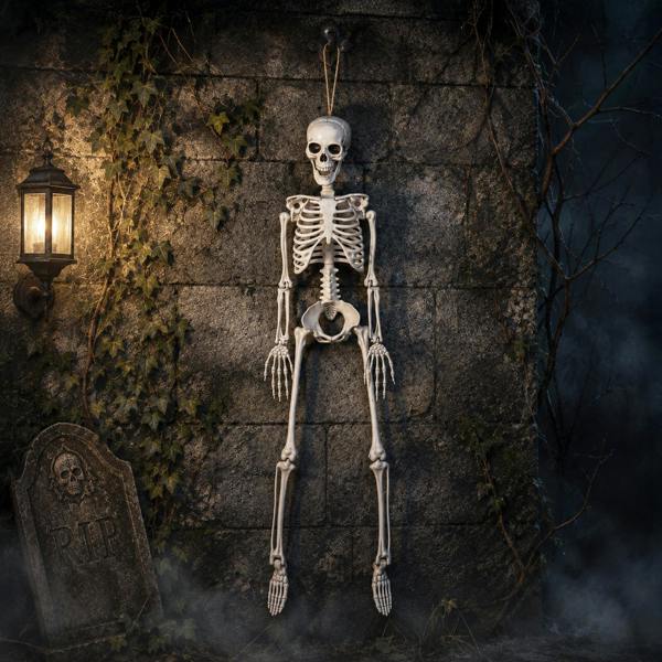 Samuel Alexander 3ft (90cm) Posable Full Body Halloween Skeleton Decoration with Movable Joints