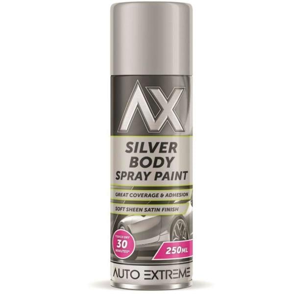 Auto Extreme Paint Silver Spray Paint 250ml