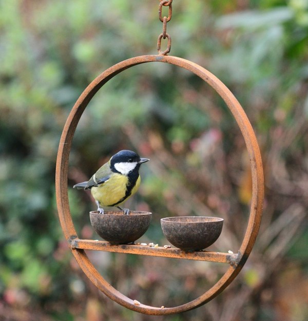 metal hanging bird feeder