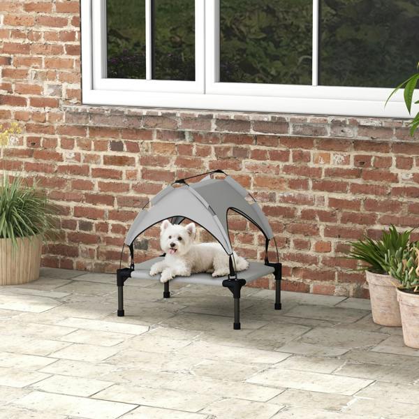 Elevated Dog Bed