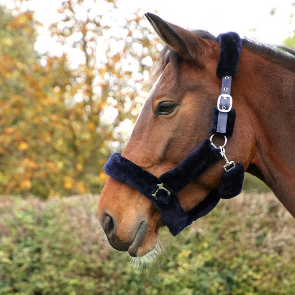 Hy Fab Fleece Horse Headcollar - Navy