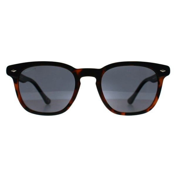 Polar Sunglasses 362 COL.476 Matte Havana Smoke Polarized
