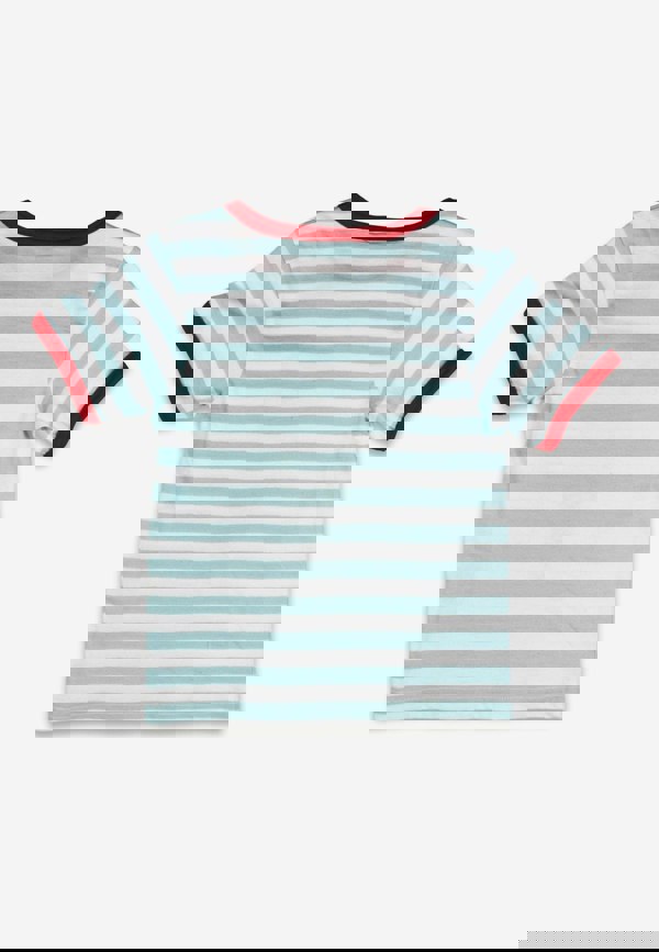 Organic Ice Cream Applique Short Sleeved T-Shirt - Toby Tiger