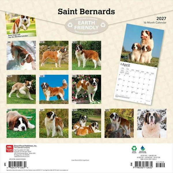 Saint Bernards Calendar 2027, Wall Calendars, Month To View, Dogs, Gift