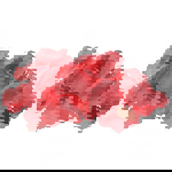 Artificial Rose Petals - Baby Pink - UK Flower Girl Boutique