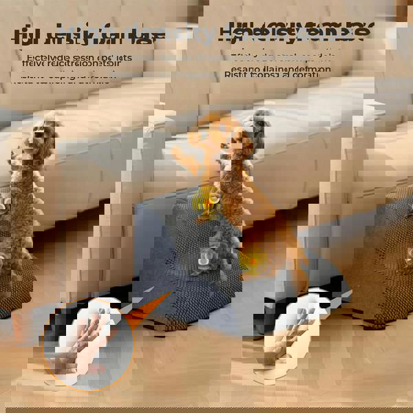 Skylos 2 Step Dog Ramp Pet Stairs for Small Dogs Bed Sofa Foam Non-Slip Washable