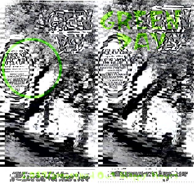 Green Day '1,039/Smoothed Out Slappy Hours' Enhanced CD Front