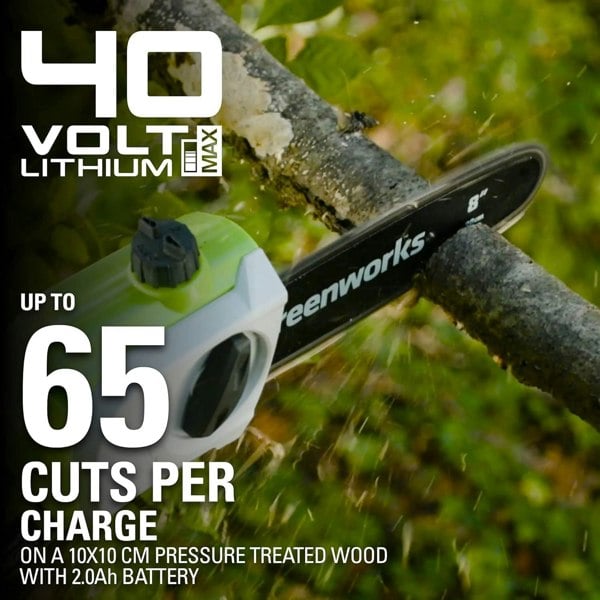 Greenworks 40V 20cm Pole Bar including Battery and Charger Green