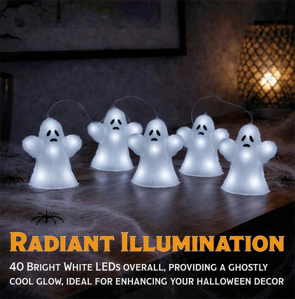 Fxlab Set of 5 Acrylic Ghost Lights with 40 White LED Outdoor Battery Decoration Timer