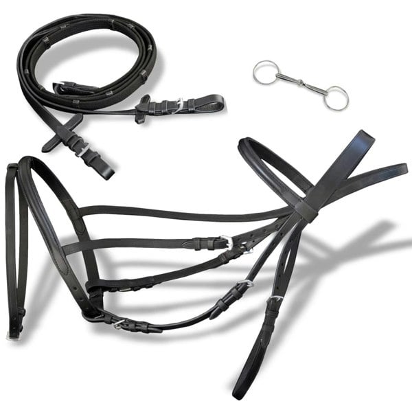 Berkfield Leather Flash Bridle with Reins and Bit Black Cob
