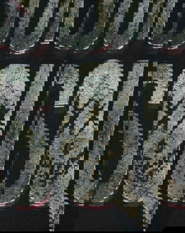 DC Comics Womens Black Logo Short Sleeved T-Shirt