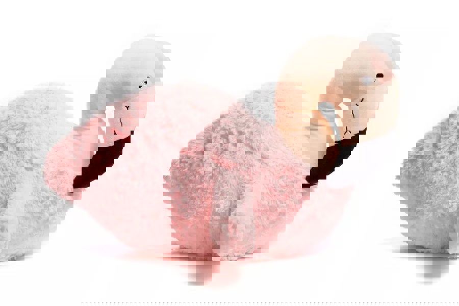 Nova Flamingo Cushion