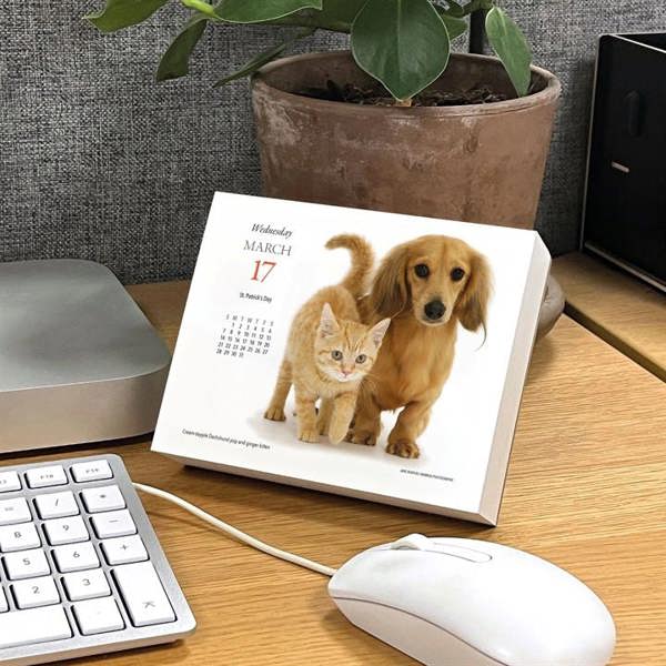 Puppies & Friends Desk Calendar 2027, Desk Calendars, Day To View, Dogs, Gift