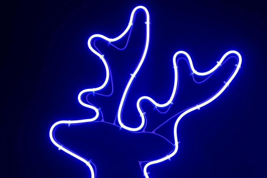74 x 40 cm to 89 x 50 cm Reindeer Neon Effect Rope Light Silhouette with 90 Blue LEDs image 1