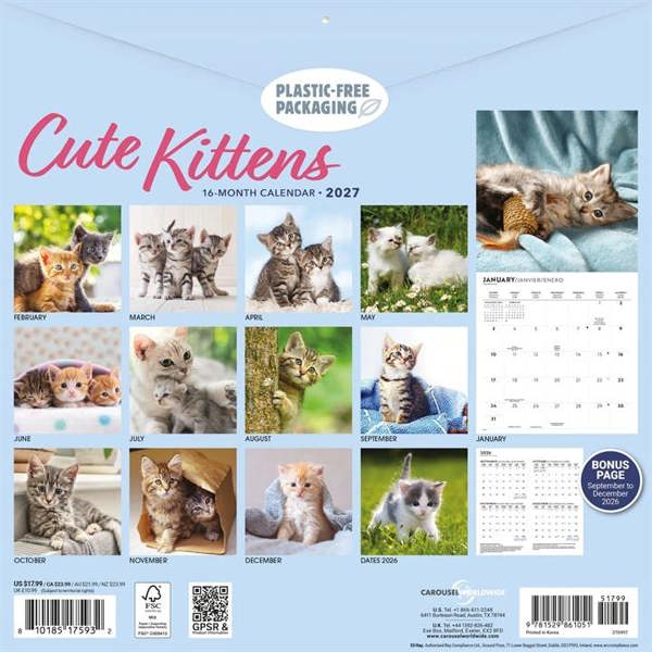 Cute Kittens Calendar 2027, Wall Calendars, Month To View, Cats, Gift