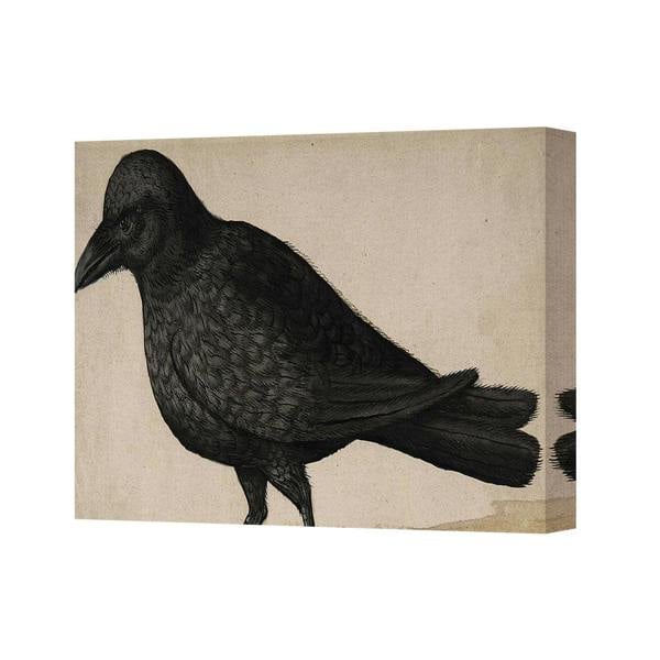 Benjamin Tate Design Crow Canvas Wall Art Print Raven Illustration Beige Background