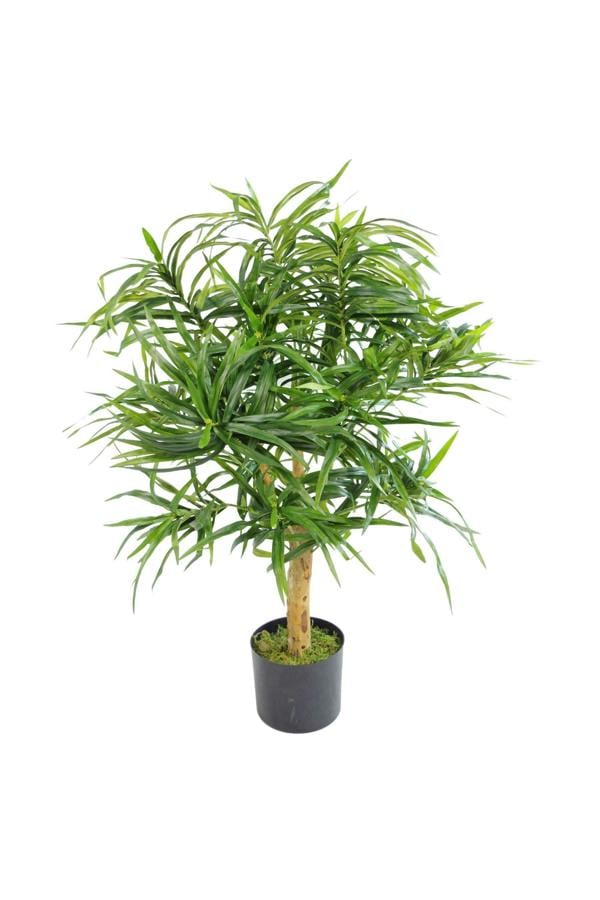 Dyzi Artificial Dracaena Plant Natural Wood Trunk 100cm