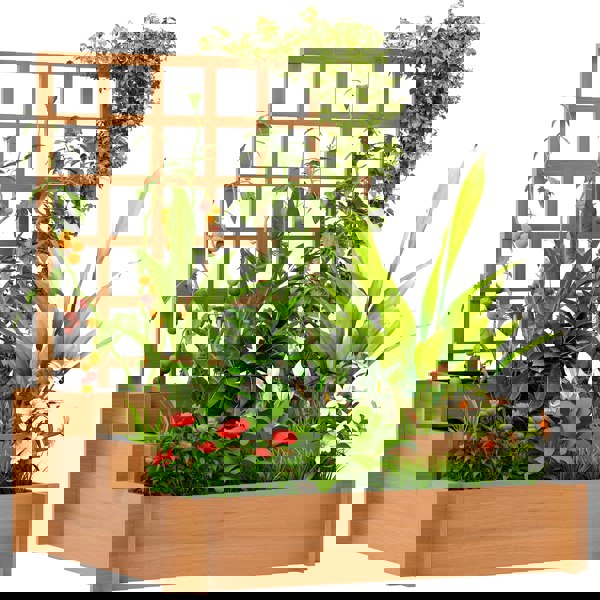 Multi-functional Garden Bed
