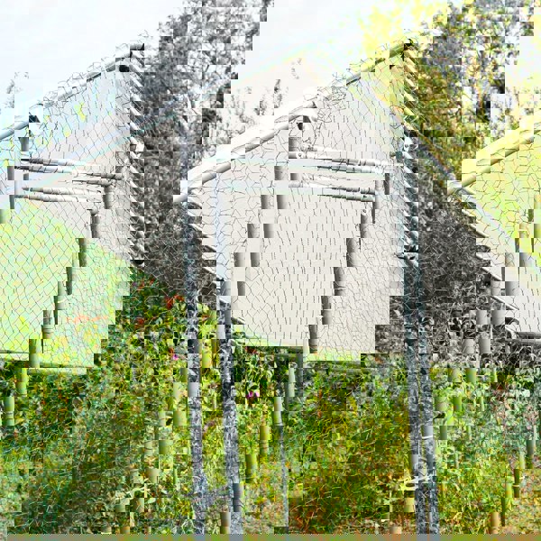 Durable chicken run measuring 3m x 2m x 2m with a sturdy metal frame, hexagonal wire mesh, and a protective roof for outdoor use