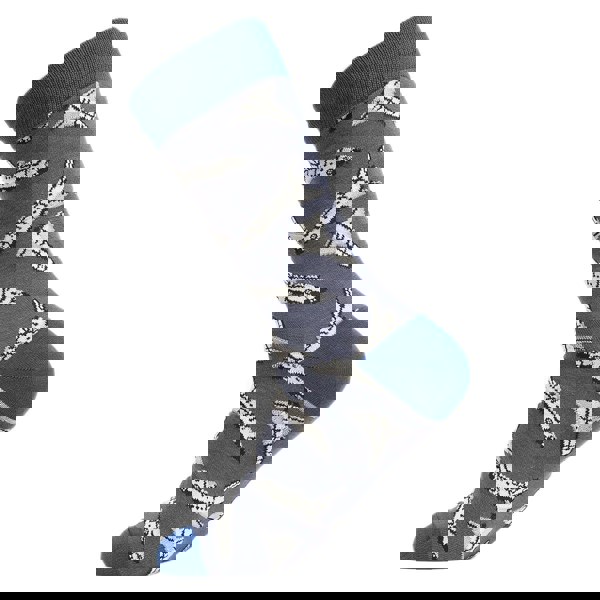 t4option1_2