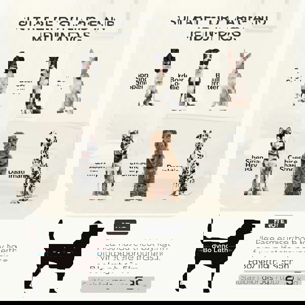 D04-256V70LG