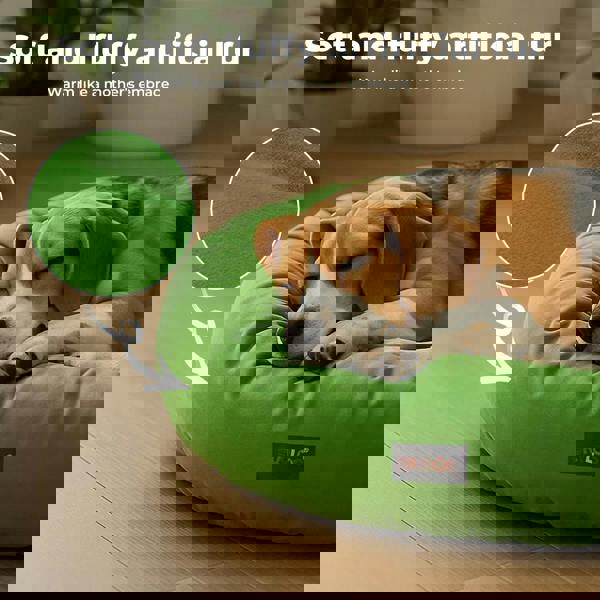 Skylos Donut Dog Bed Velvet Calming Washable Large Small Pet Cushion Soft Mattress