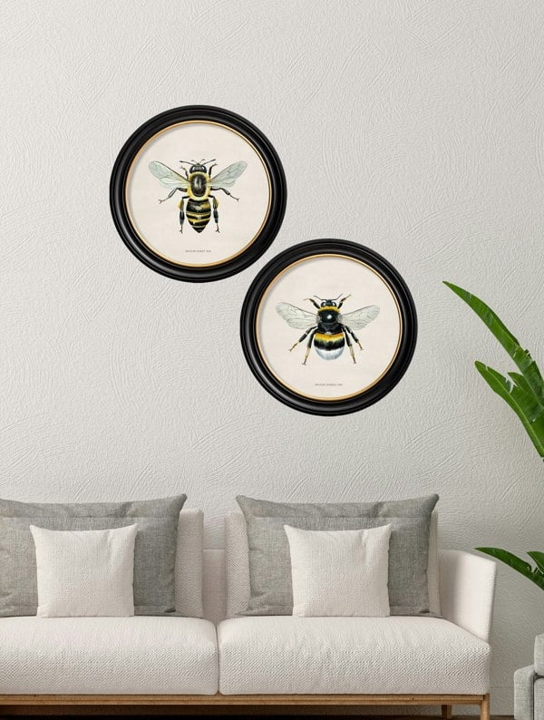 Exceptional Art c1892 British Bees Round Frame