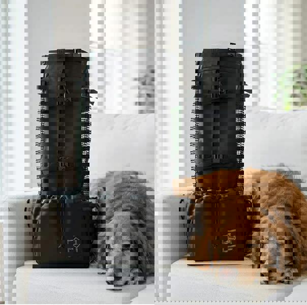 Anywags ANYPET XL Pet Carrier - Travel Backpack for Medium to Large Dogs with Pockets