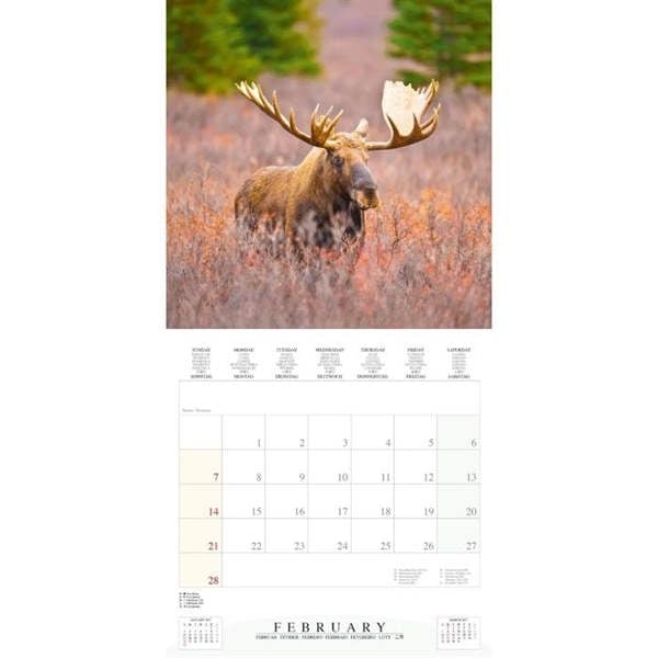 Dwellers Of The Woodlands Calendar 2027, Wall Calendars, Month To View, Animals, Gift