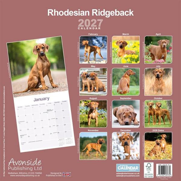 Rhodesian Ridgeback Calendar 2027, Wall Calendars, Month To View, Dogs, Gift