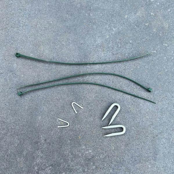 Galvanised Fixing Staples - Evergreenery