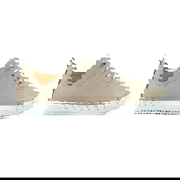 Lunar Womens/Ladies St Ives Leather Plimsolls - Stone