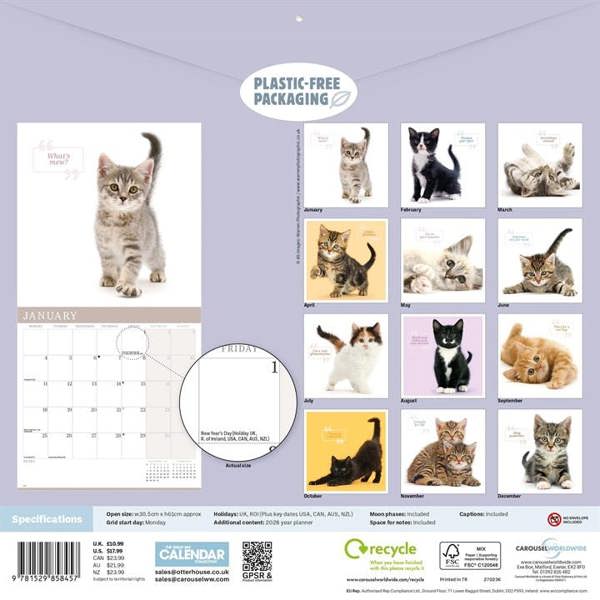 Cute Cats Calendar 2027, Wall Calendars, Month To View, Cats, Gift