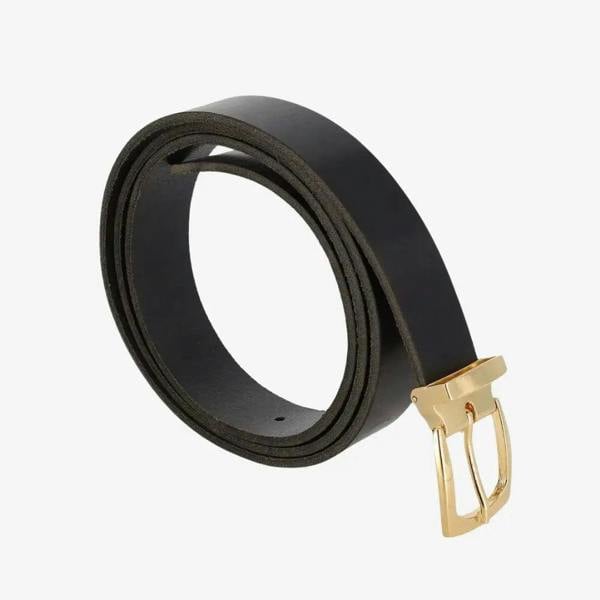 Black belt with a gold buckle on a white background
