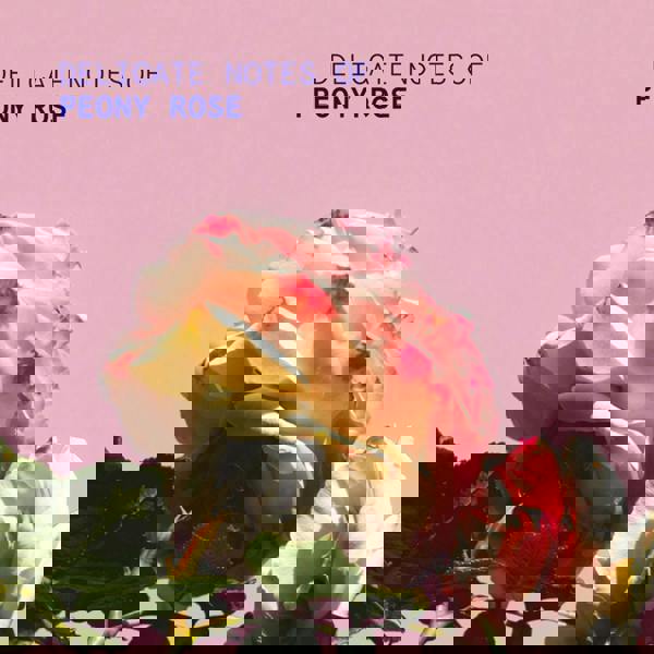 Korres Peony Rose Hand Cream