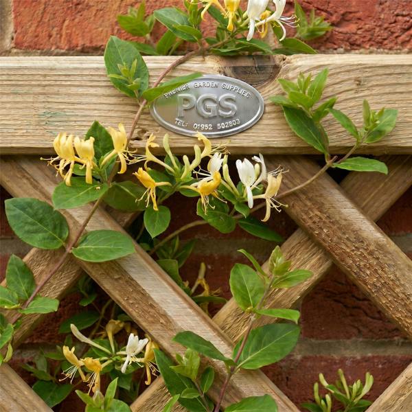 [rackhams variation] trellis elite diamond [6ft x 1ft|2ft|3ft|4ft] 8