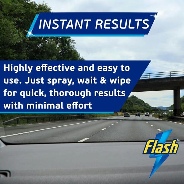 FLASH Insect Bug Remover Spray Powerful Car Cleaner for Tar & Bugs 500ml