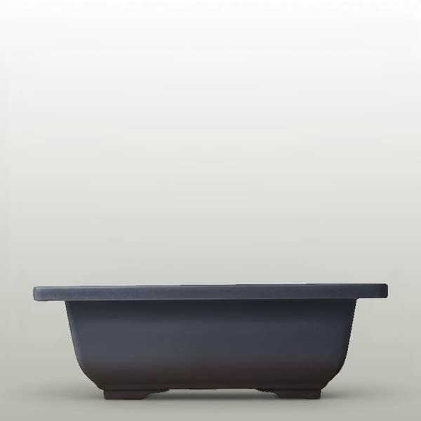 Plastic Bonsai Training Pot | Rectangle | 16cm x 12cm x 6cm - Yorkshire Bonsai standardised image 20260606-155105